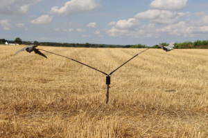 Duekarrusel, fjernbetjent